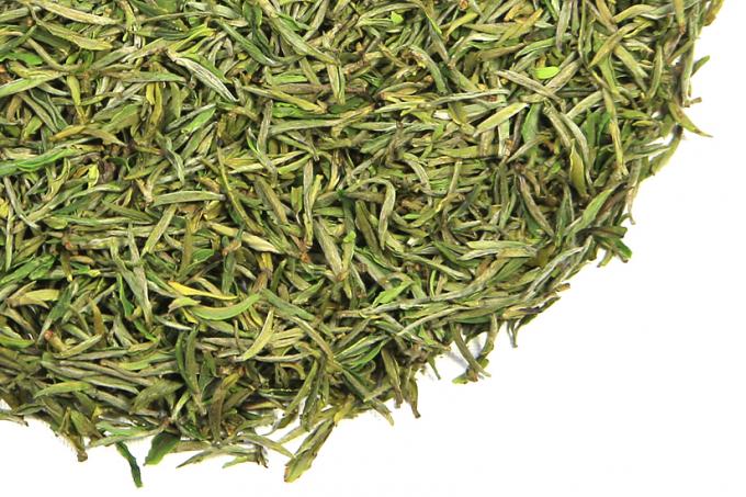 Hojas de té verdes de proceso frescas, té verde amarillo de las hojas intercambiables de la montaña