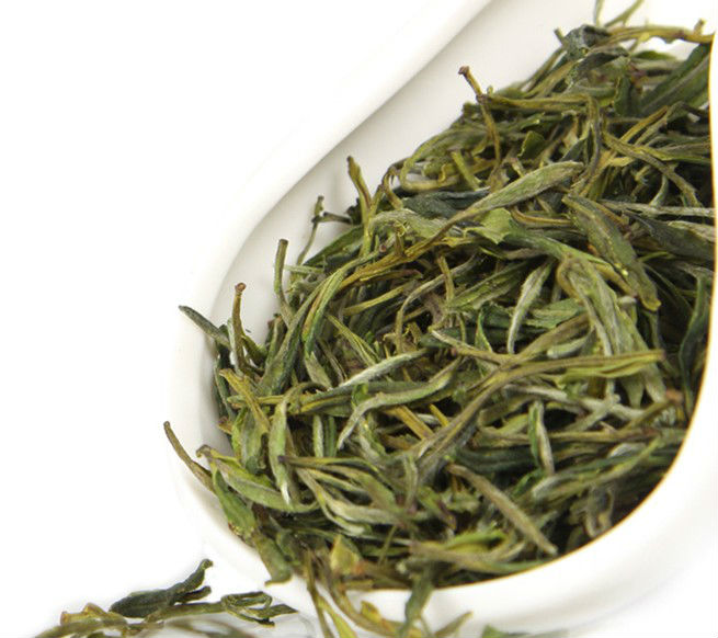 El té verde fresco del maofeng de la montaña del amarillo del té de la salud para el uso en el hogar suelta té